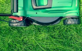 Gartenpflege als Nebenkosten: Wann Mieter zahlen müssen und wann nicht